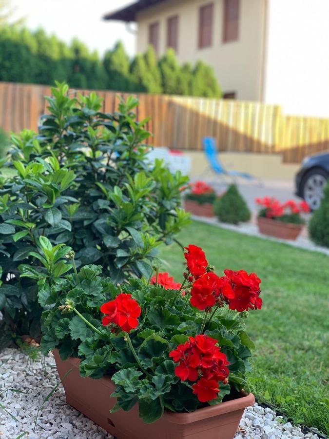 فيلا House4U Balatonszárszó المظهر الخارجي الصورة