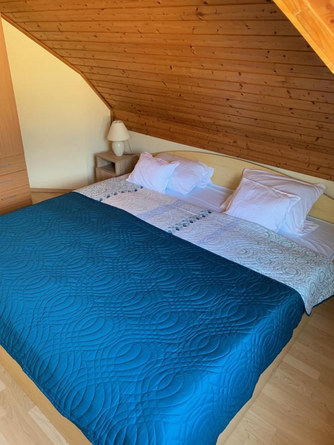 فيلا House4U Balatonszárszó المظهر الخارجي الصورة