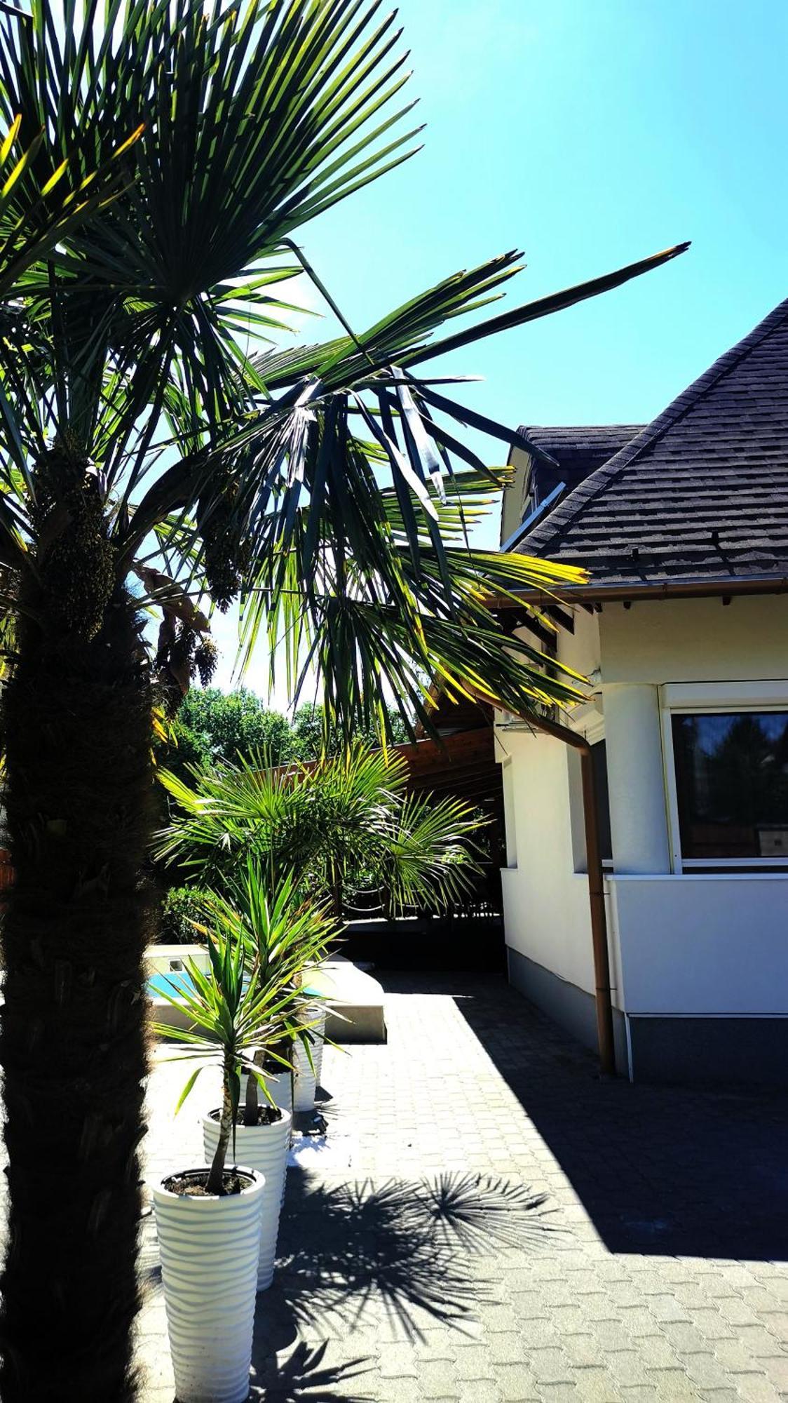 فيلا House4U Balatonszárszó المظهر الخارجي الصورة