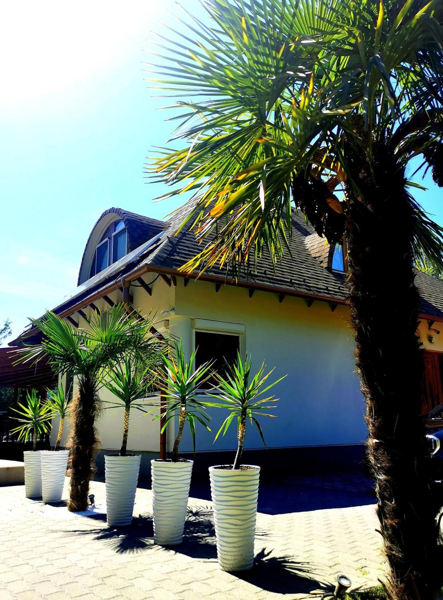 فيلا House4U Balatonszárszó المظهر الخارجي الصورة